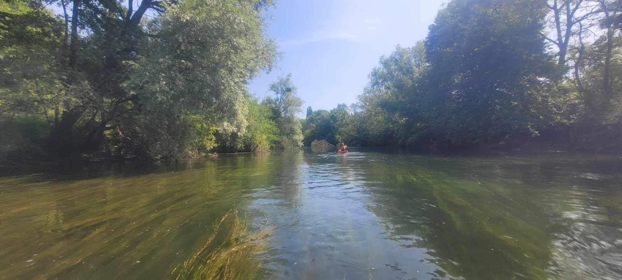 Detente A Sorques Montigny-sur-Loing Bagian luar foto