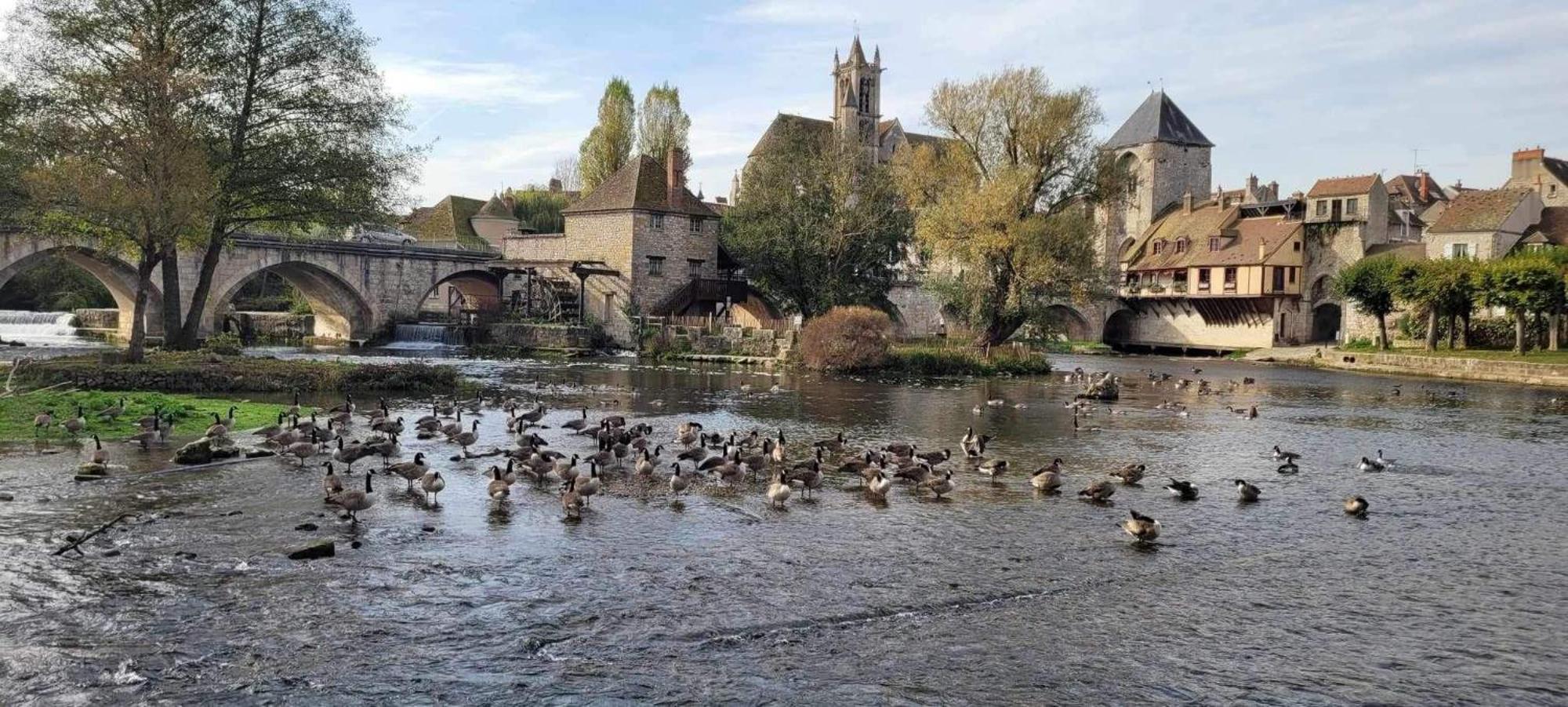 Detente A Sorques Montigny-sur-Loing Bagian luar foto