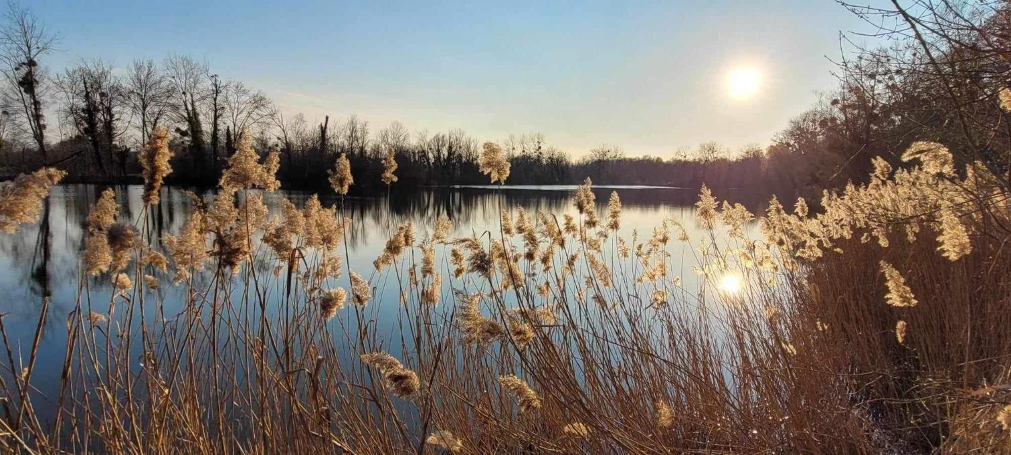 Detente A Sorques Montigny-sur-Loing Bagian luar foto